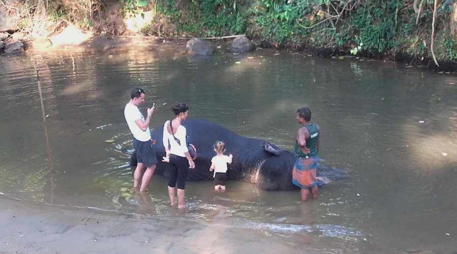tailor-made Sri Lanka tours
