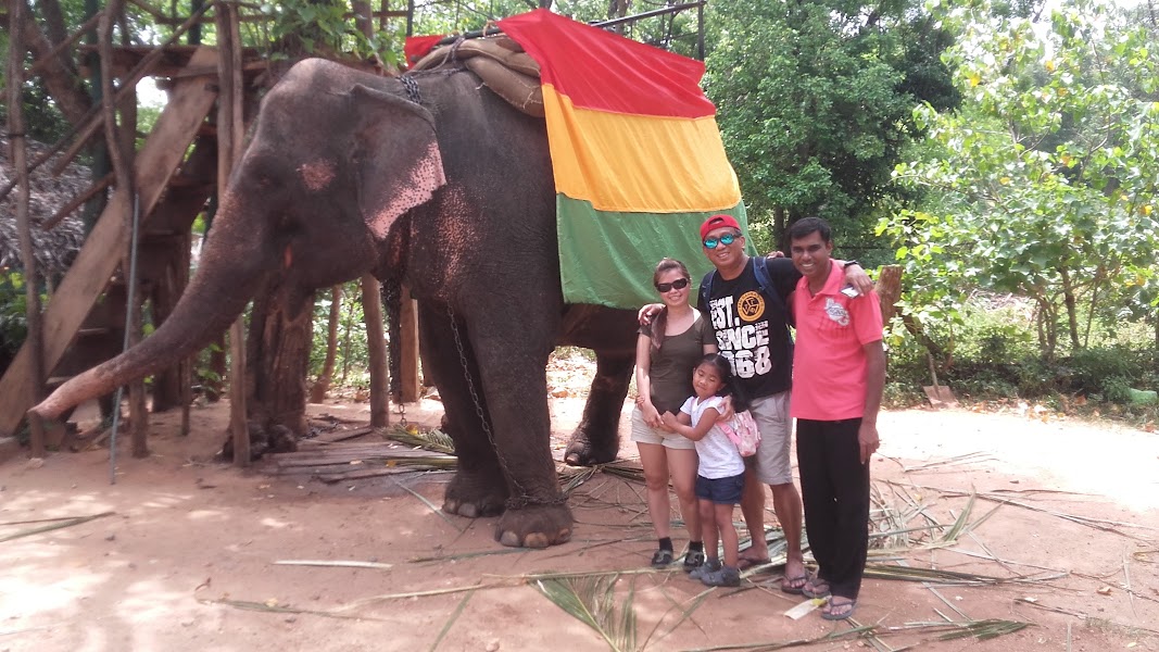 travel around Sri Lanka