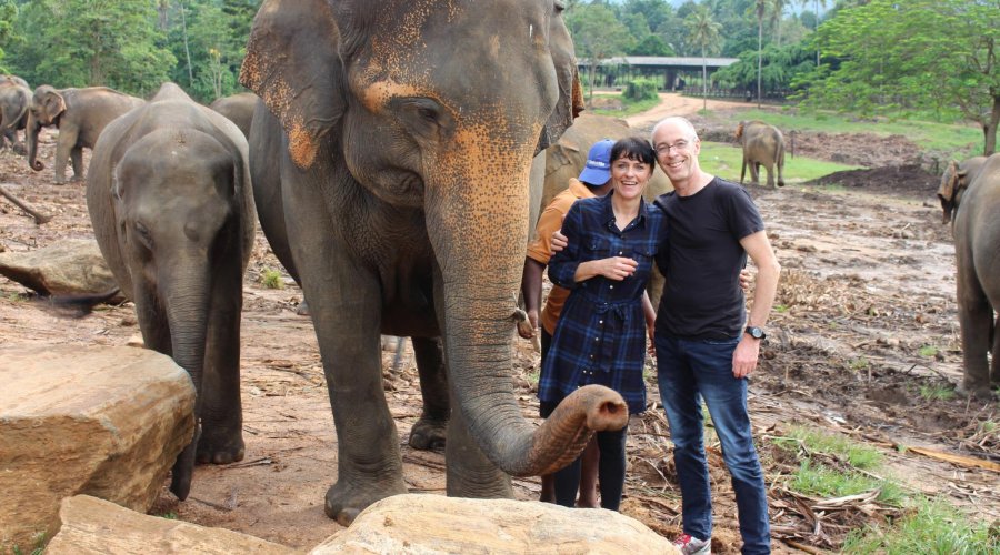 Sri Lanka family travel itinerary