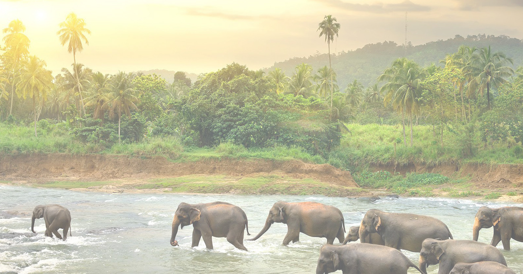 Colombo day tours