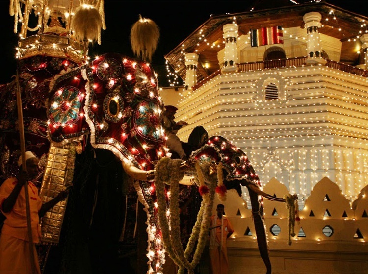 Sri Lanka tour operator