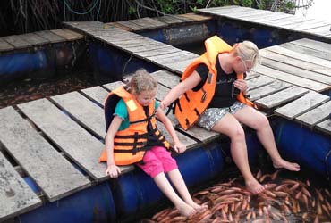 Boat safari on Madu River with natural fish spa experience