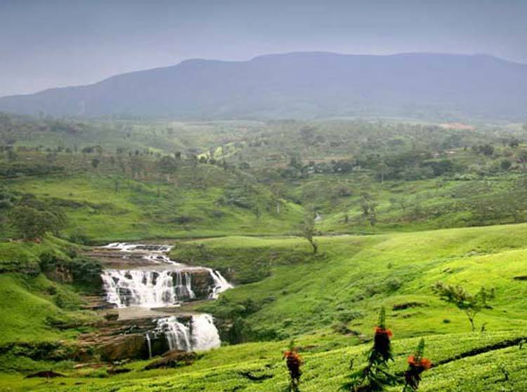private tours Sri Lanka