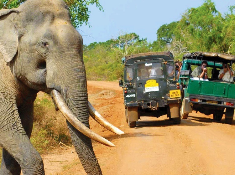 Sri Lanka tour operator